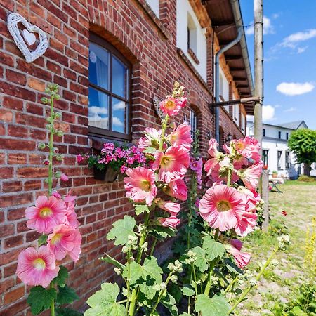 Ostsee Bauernhof Schwalbennest Ofc 15 Steffenshagen Exterior foto